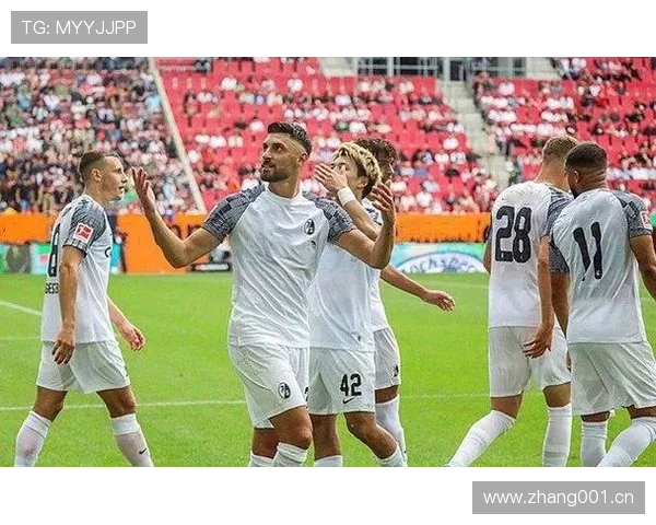 德甲转会新援分析 德甲转会新援分析