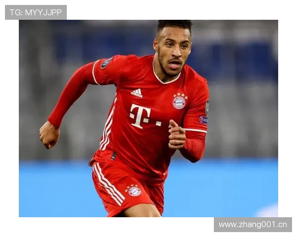 德甲主流转会分析 德甲主流转会分析