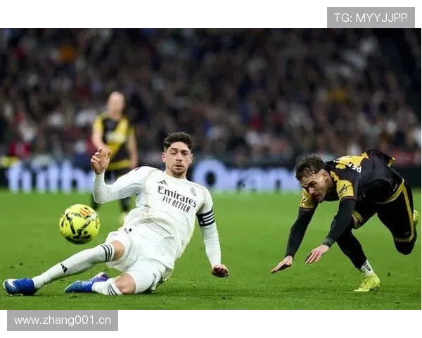 巴尔韦德：世界杯与美洲杯主力身份解析